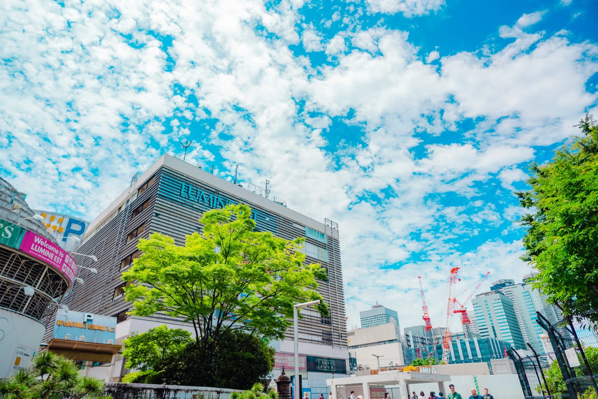 自毛植毛・親和クリニック新宿西口院へのアクセス